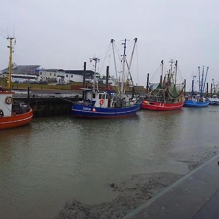 Nordsee Und Natur. Gemuetliche Fewo Mit Deichblick ドルム・ノイフェルト エクステリア 写真