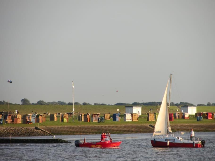 Nordsee Und Natur. Gemuetliche Fewo Mit Deichblick ドルム・ノイフェルト エクステリア 写真