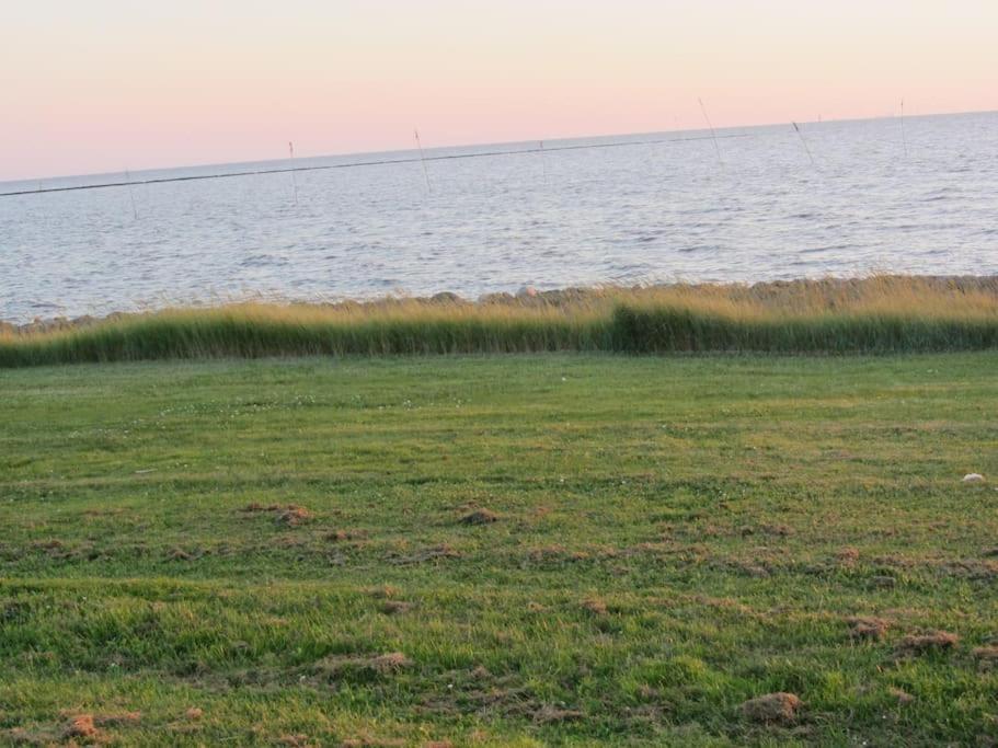 Nordsee Und Natur. Gemuetliche Fewo Mit Deichblick ドルム・ノイフェルト エクステリア 写真