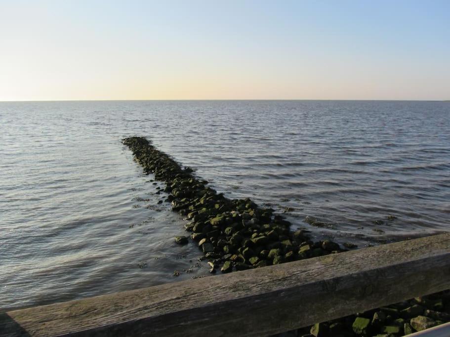 Nordsee Und Natur. Gemuetliche Fewo Mit Deichblick ドルム・ノイフェルト エクステリア 写真